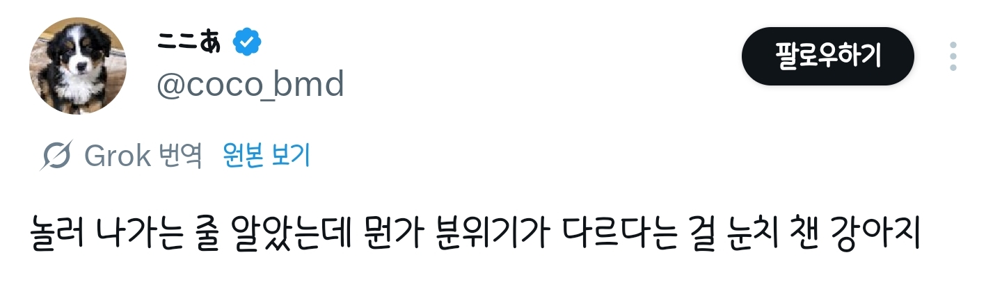 놀러-나가는-줄-알았는데-뭔가-분위기가-다르다는-걸-눈치-챈-강아지-0-이미지
