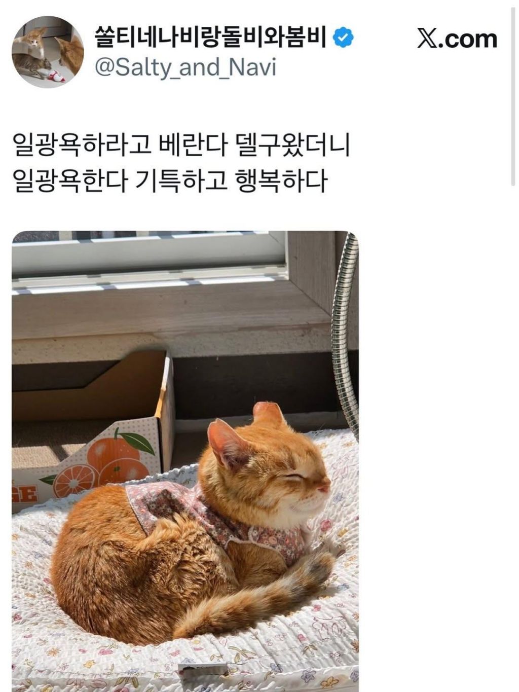 경주-마스코트였던-나단이-근황-4-이미지