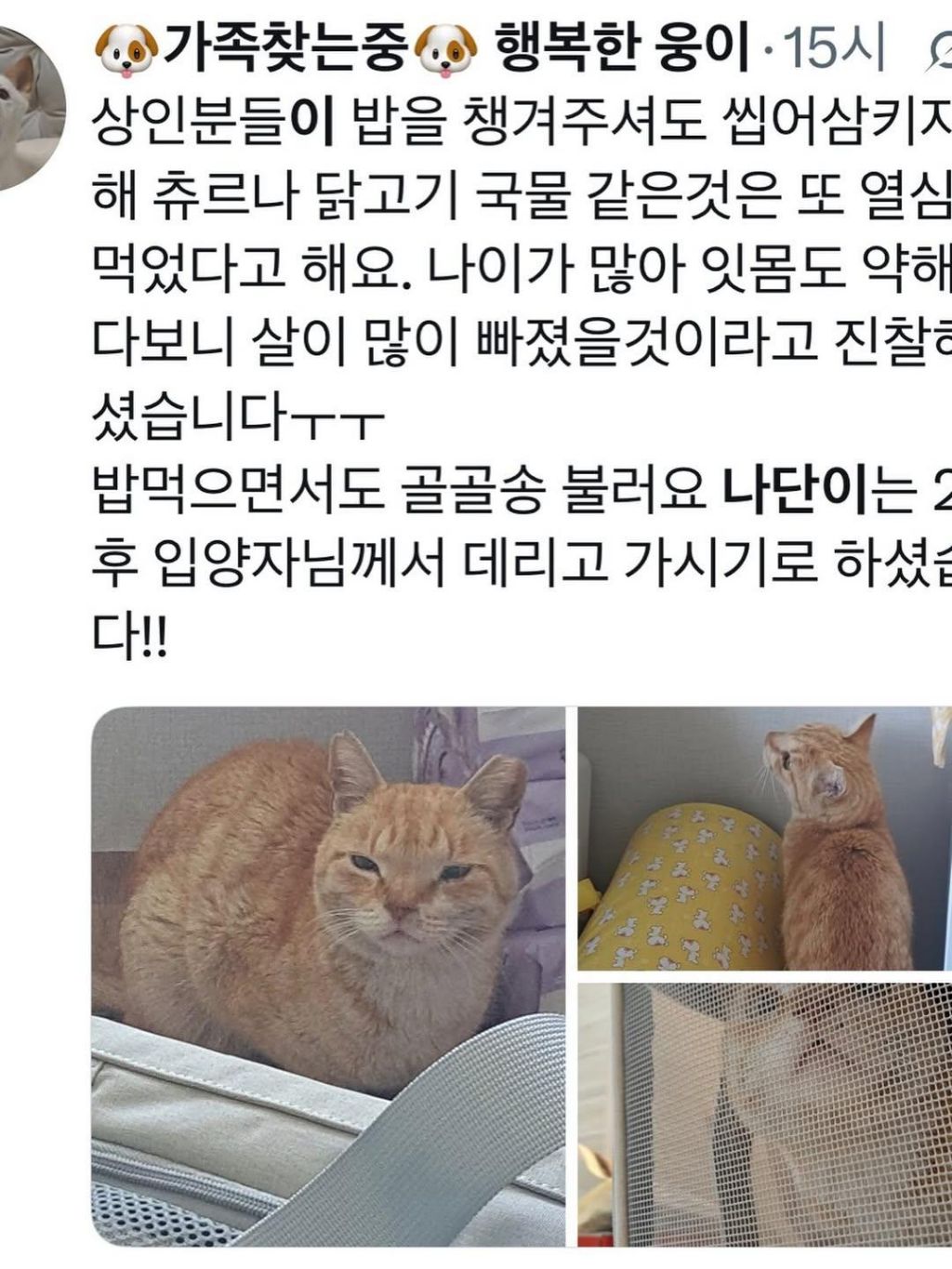 경주-마스코트였던-나단이-근황-2-이미지
