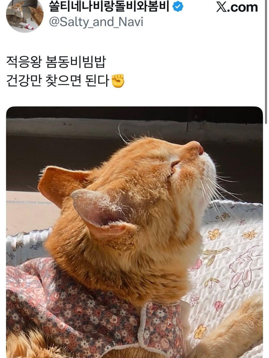 경주-마스코트였던-나단이-근황-6-이미지