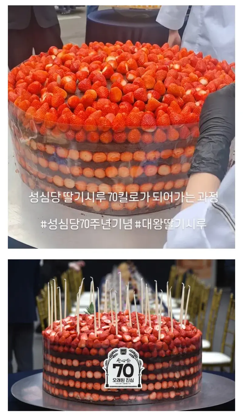 성심당-70주년-딸기시루-70kg짜리-공개-0-이미지