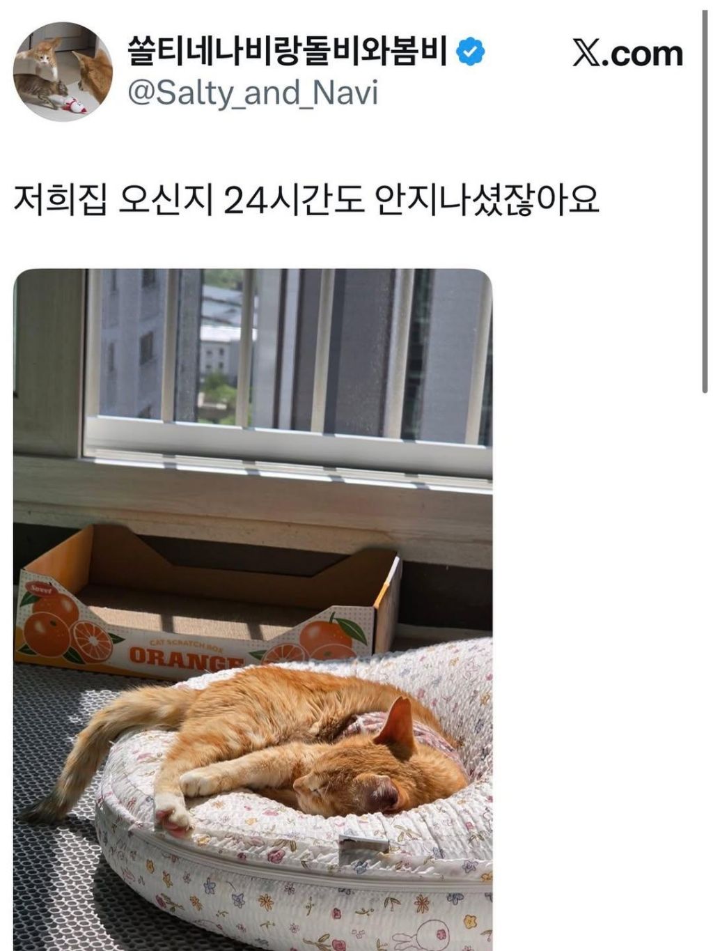 경주-마스코트였던-나단이-근황-5-이미지