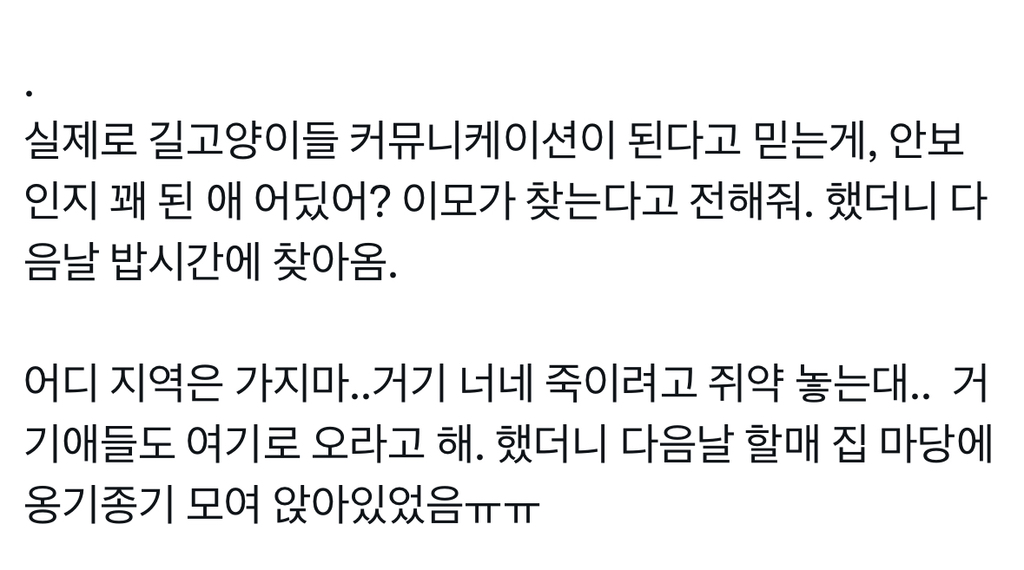 정보-공유중인-고양이들-1-이미지