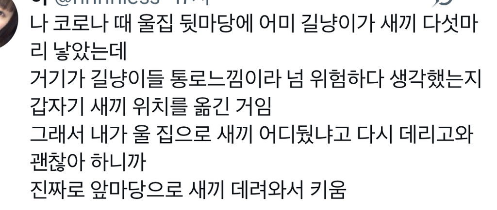 정보-공유중인-고양이들-2-이미지