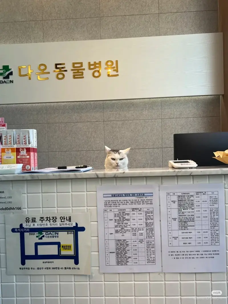 병원-접수원이-너무-불친절함-0-이미지