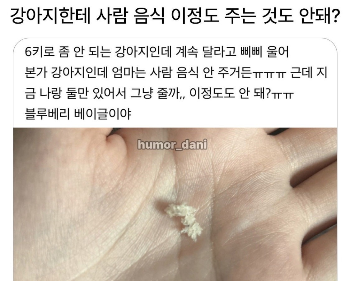 강아지한테-사람-음식-이정도-주는-것도-안-돼?-0-이미지