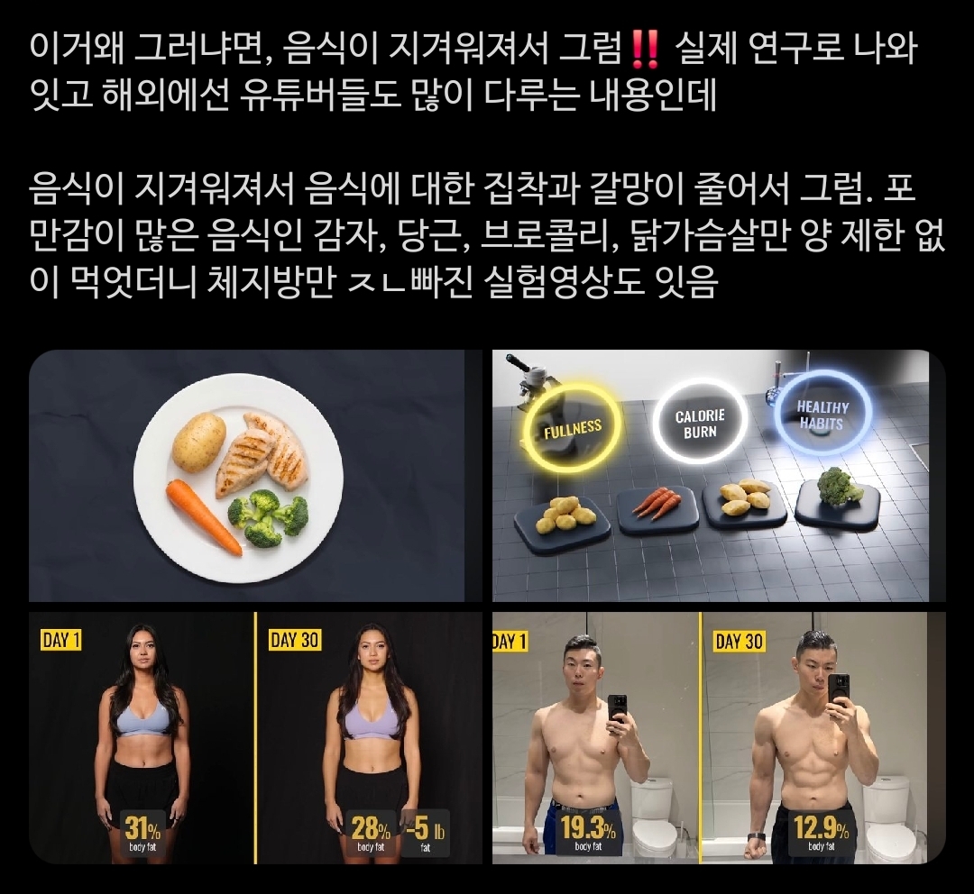 다이어트-할-때-똑같은-식단을-규칙적으로-먹는-사람들이-다양한-식단을-시도한-사람보다-40%나-더-많이-빠졌대-1-이미지