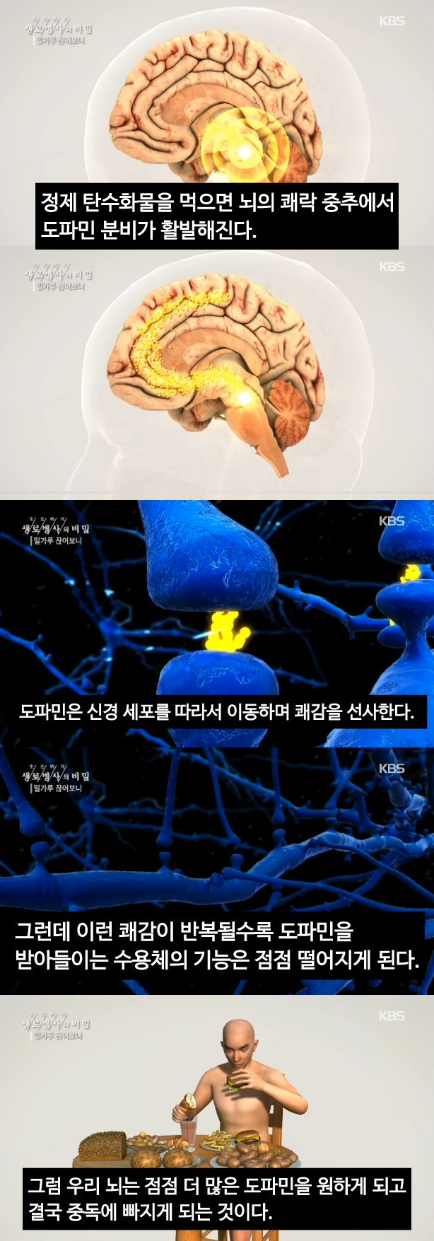 다이어트-할-때-똑같은-식단을-규칙적으로-먹는-사람들이-다양한-식단을-시도한-사람보다-40%나-더-많이-빠졌대-3-이미지
