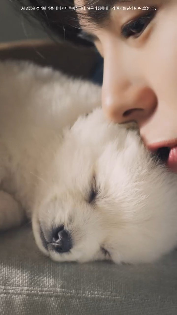 다이슨-광고에-나오는-강아지-4-이미지
