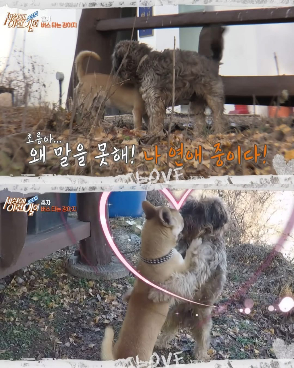 뻔뻔하게-무임승차하는-승객.jpg-10-이미지
