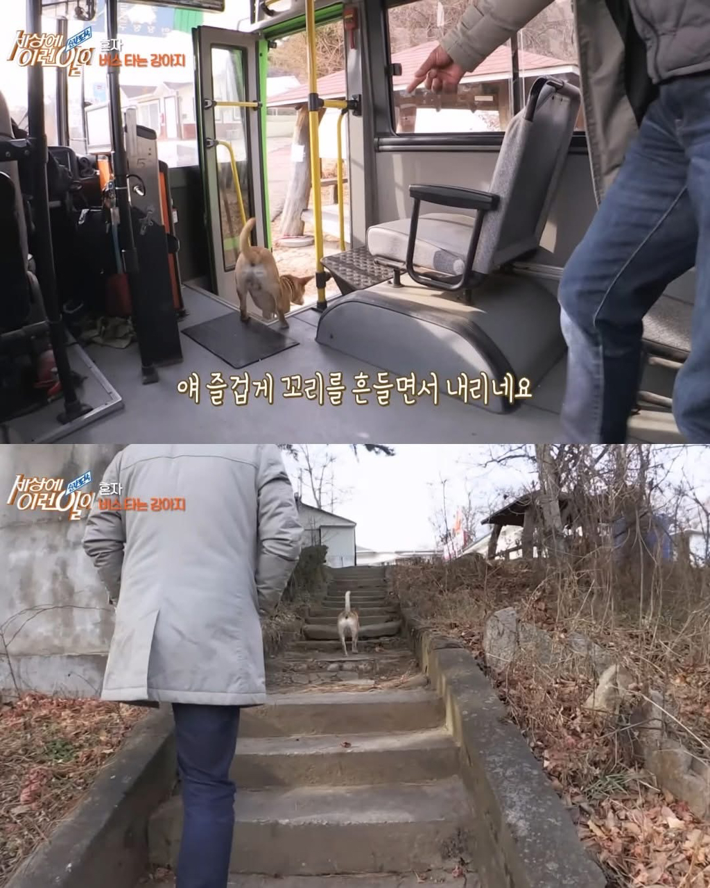 뻔뻔하게-무임승차하는-승객.jpg-9-이미지