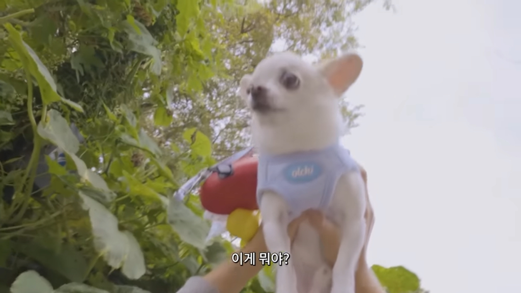 하말넘많-정읍-여행-넘-힐링-그-잡채.jpg-5-이미지