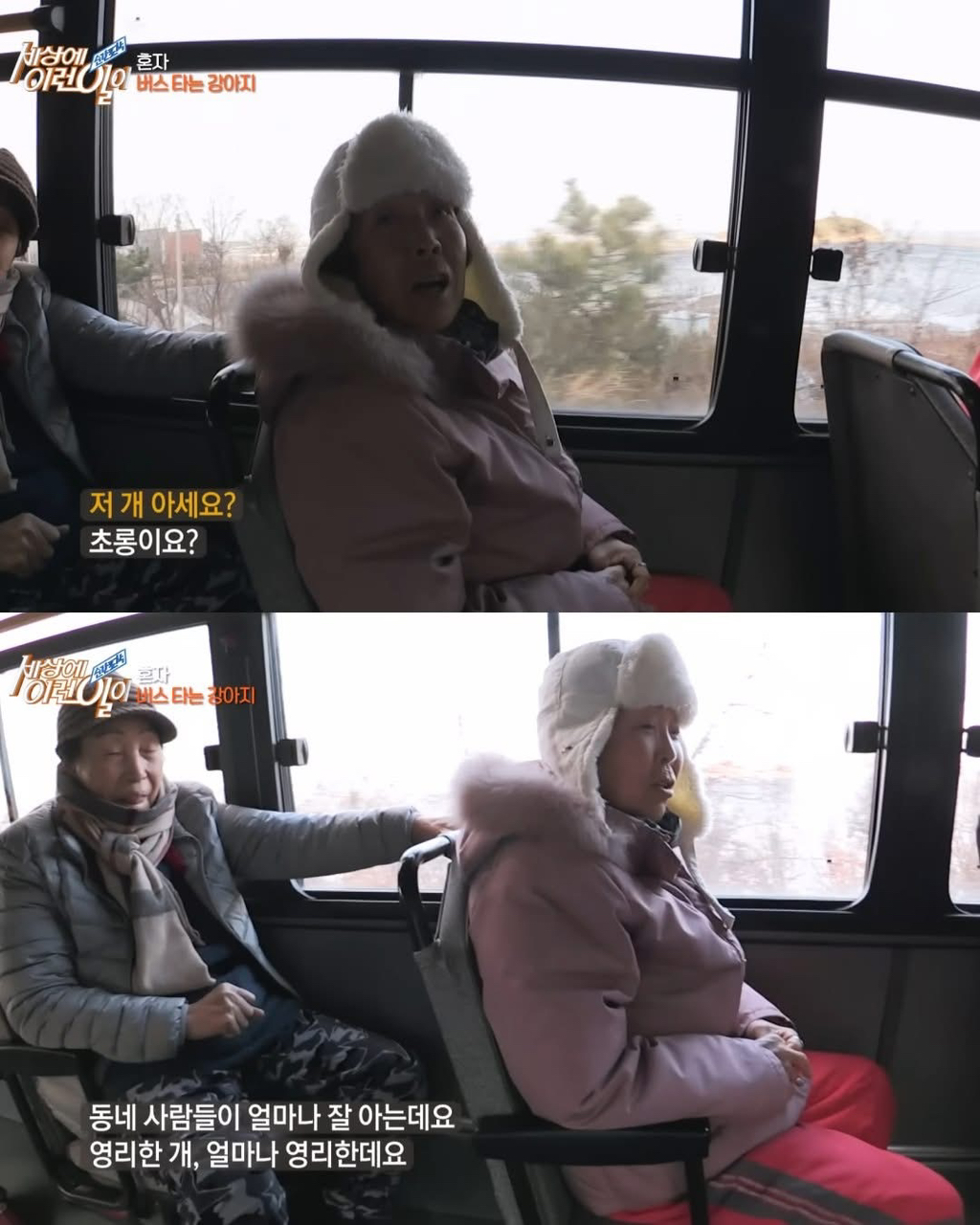 뻔뻔하게-무임승차하는-승객.jpg-5-이미지