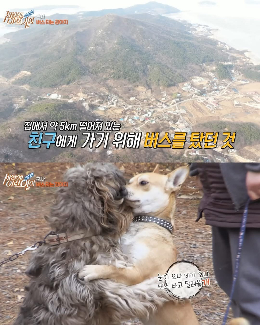 뻔뻔하게-무임승차하는-승객.jpg-14-이미지