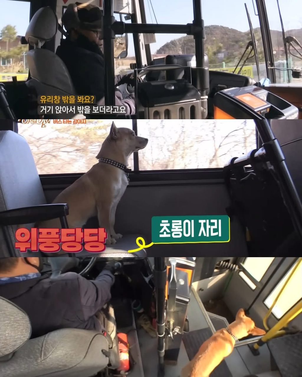 뻔뻔하게-무임승차하는-승객.jpg-7-이미지