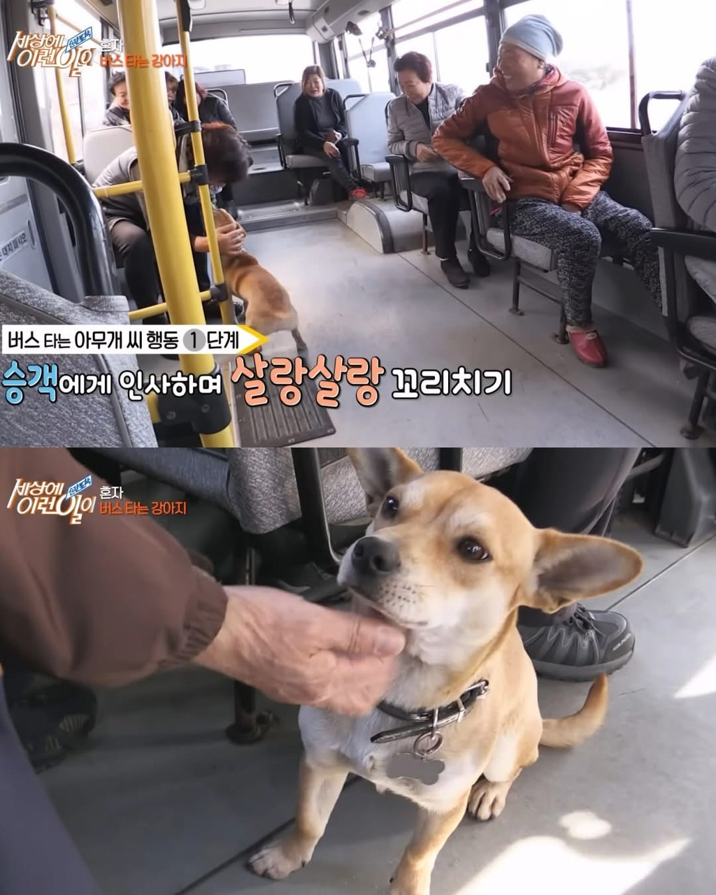뻔뻔하게-무임승차하는-승객.jpg-3-이미지