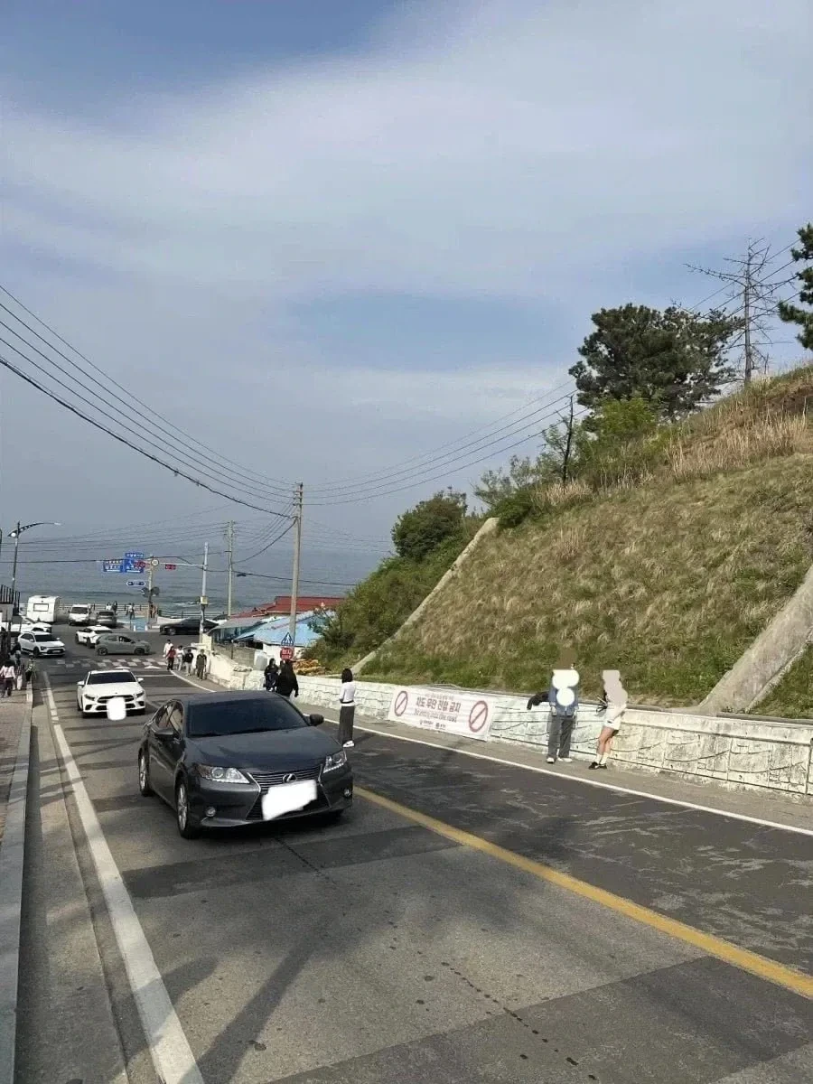 난리난-동해-"일본-감성"-핫플.jpg-1-이미지