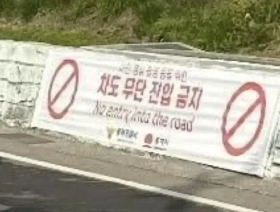 난리난-동해-"일본-감성"-핫플.jpg-3-이미지