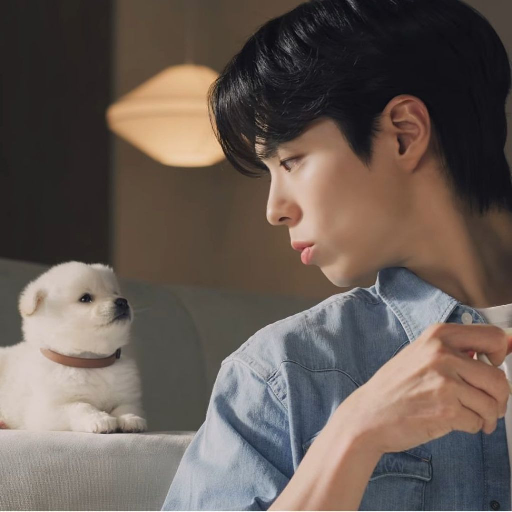 다이슨-광고에-나오는-강아지-2-이미지