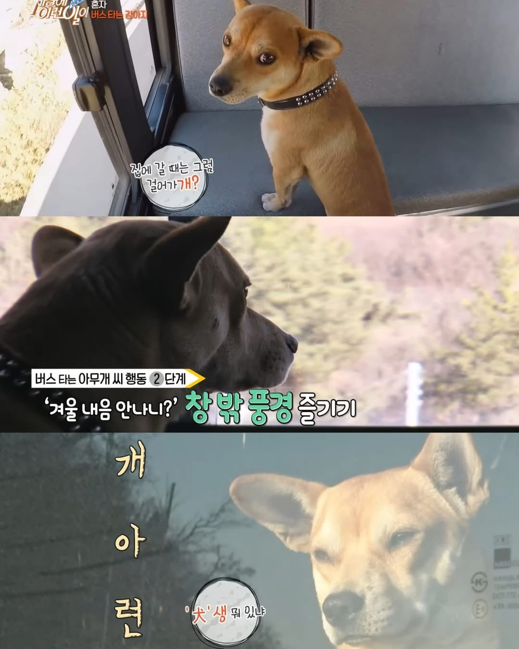 뻔뻔하게-무임승차하는-승객.jpg-6-이미지