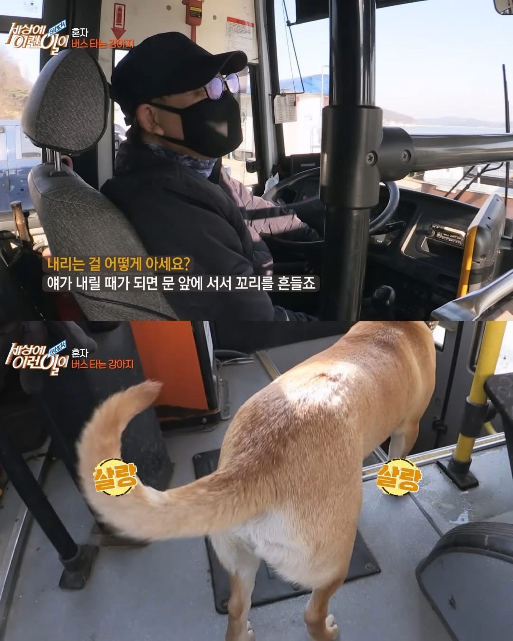 뻔뻔하게-무임승차하는-승객.jpg-8-이미지