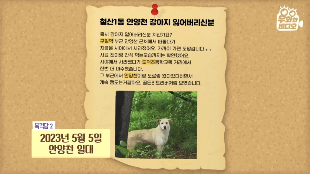 목숨을-걸고-한-달-만에-집으로-돌아온-강아지..jpg-63-이미지