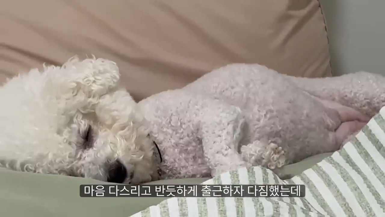 당일퇴사-브이로그-26-이미지