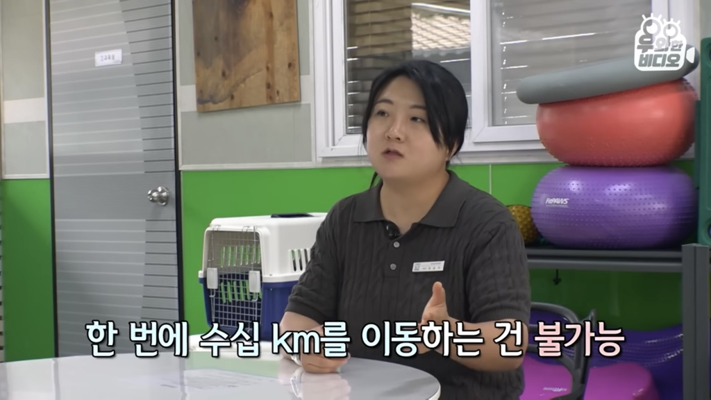 목숨을-걸고-한-달-만에-집으로-돌아온-강아지..jpg-74-이미지