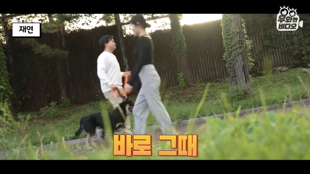 목숨을-걸고-한-달-만에-집으로-돌아온-강아지..jpg-1-이미지