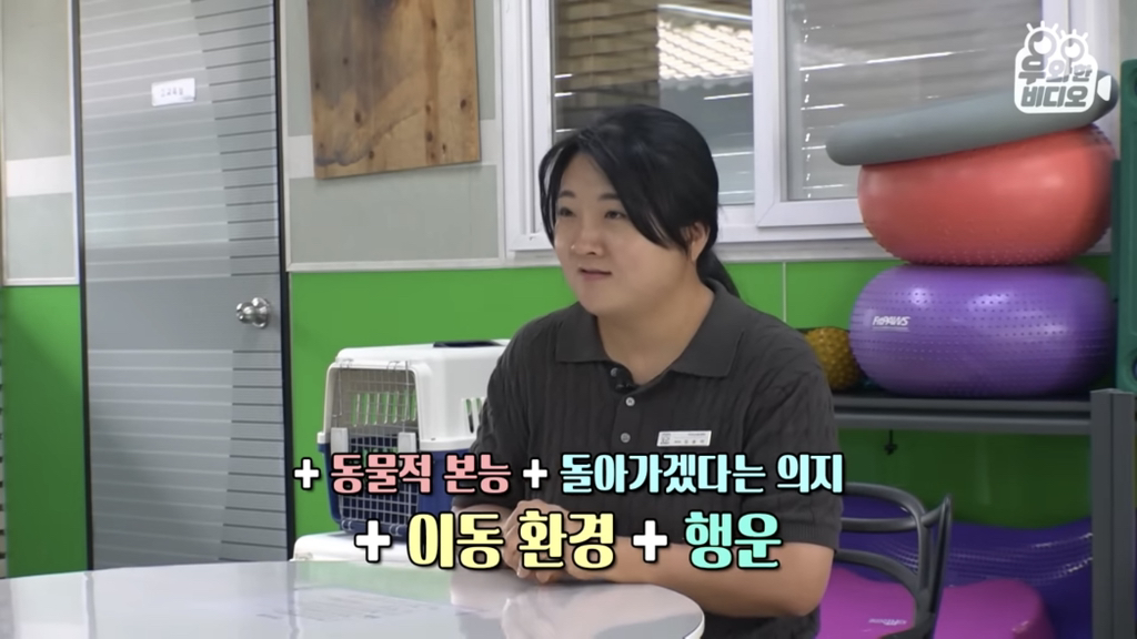 목숨을-걸고-한-달-만에-집으로-돌아온-강아지..jpg-86-이미지