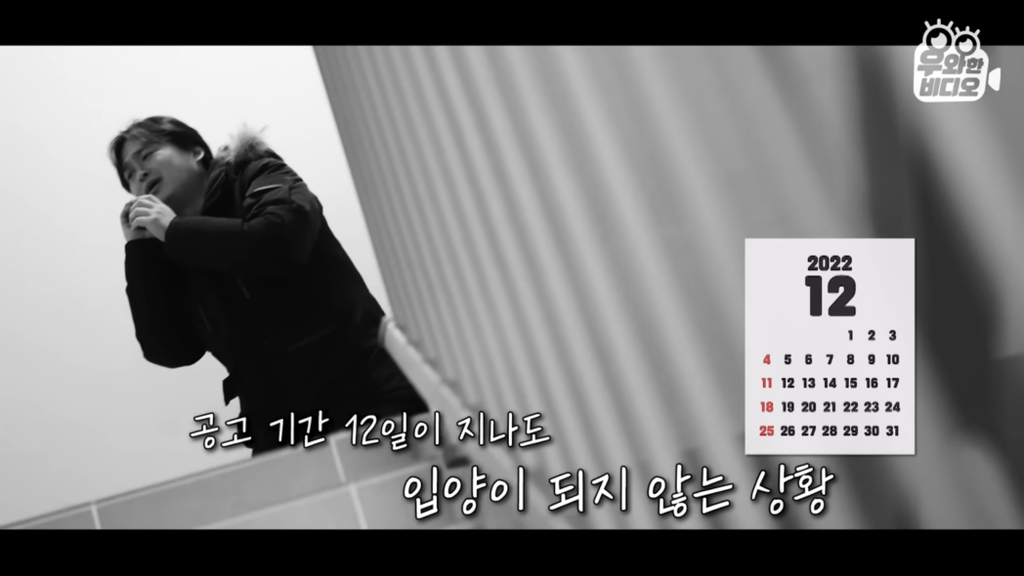 목숨을-걸고-한-달-만에-집으로-돌아온-강아지..jpg-22-이미지