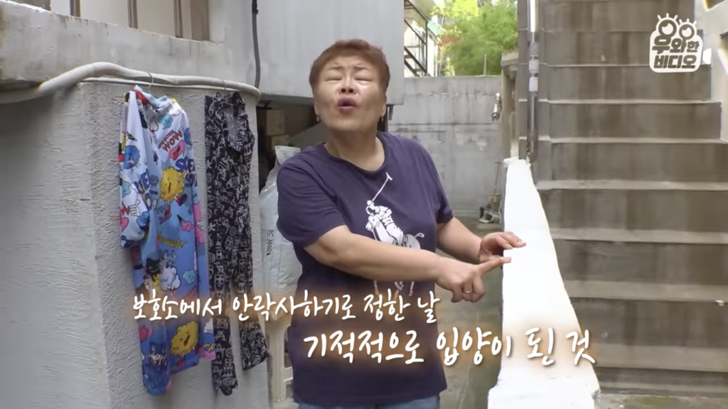 목숨을-걸고-한-달-만에-집으로-돌아온-강아지..jpg-27-이미지