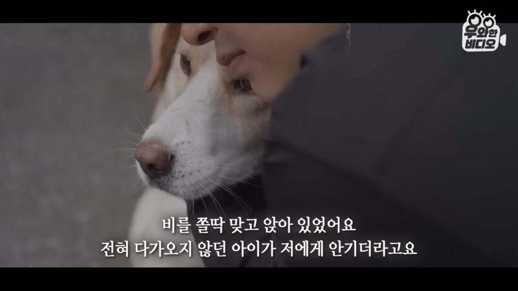목숨을-걸고-한-달-만에-집으로-돌아온-강아지..jpg-47-이미지