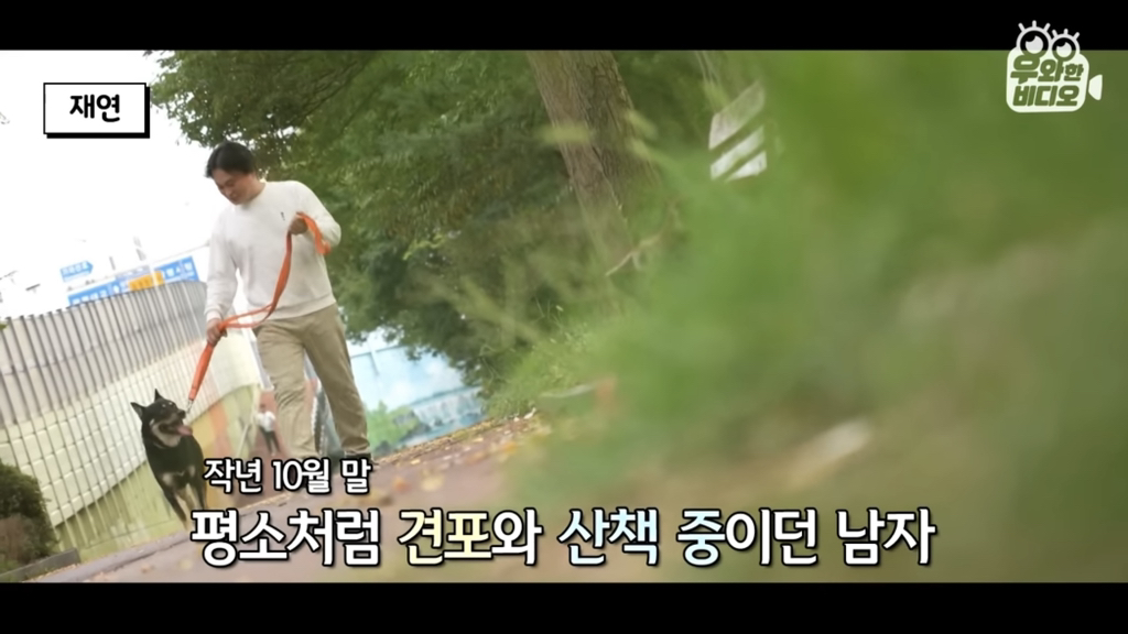 목숨을-걸고-한-달-만에-집으로-돌아온-강아지..jpg-0-이미지