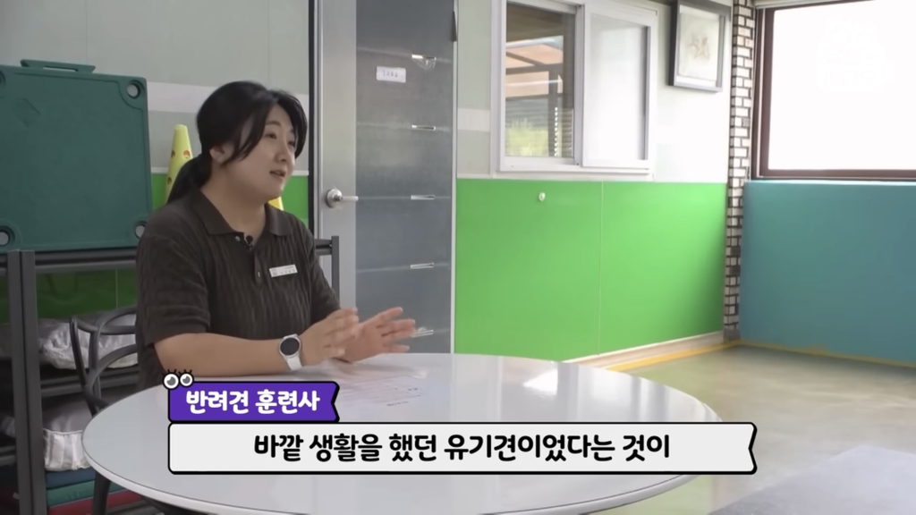 목숨을-걸고-한-달-만에-집으로-돌아온-강아지..jpg-76-이미지