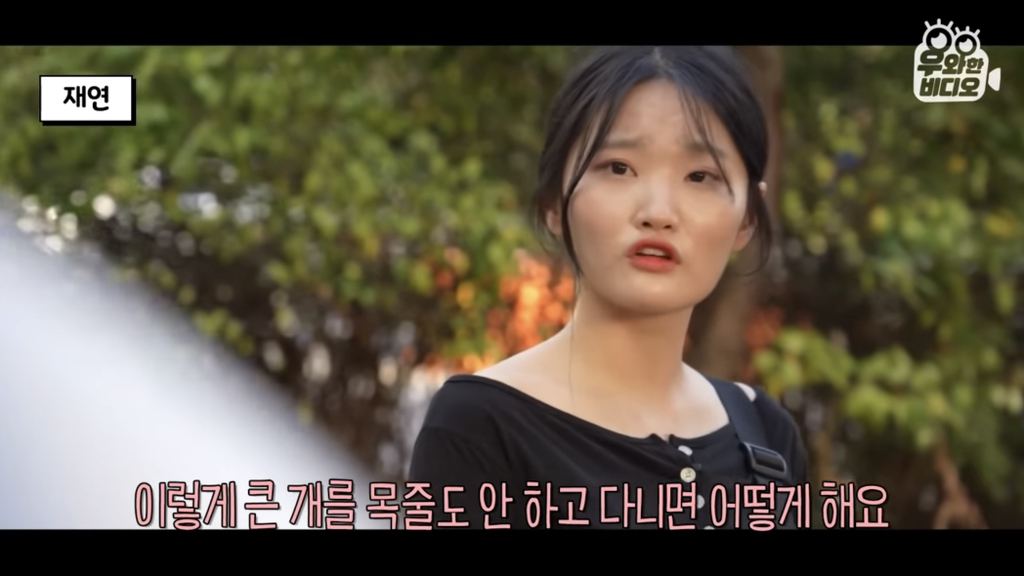 목숨을-걸고-한-달-만에-집으로-돌아온-강아지..jpg-2-이미지