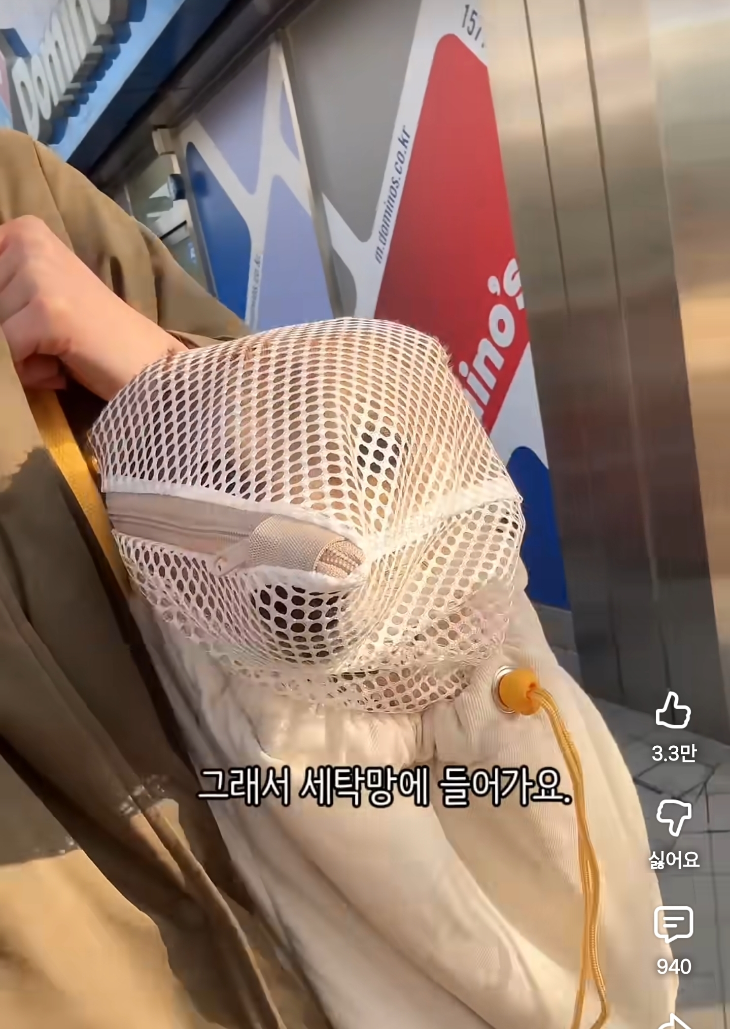 세탁망-뒤집어쓰고-버스타는-강아지-0-이미지