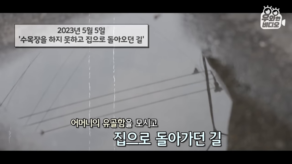 목숨을-걸고-한-달-만에-집으로-돌아온-강아지..jpg-43-이미지