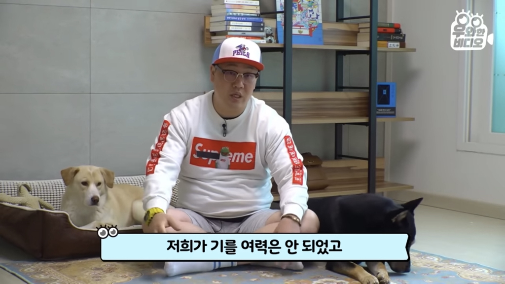 목숨을-걸고-한-달-만에-집으로-돌아온-강아지..jpg-17-이미지