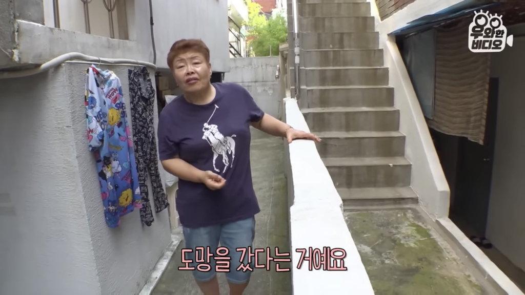 목숨을-걸고-한-달-만에-집으로-돌아온-강아지..jpg-34-이미지