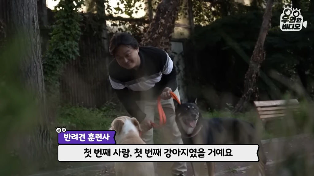 목숨을-걸고-한-달-만에-집으로-돌아온-강아지..jpg-90-이미지