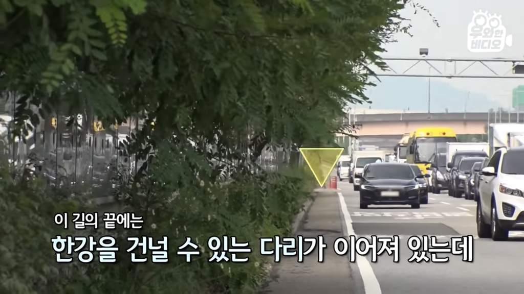 목숨을-걸고-한-달-만에-집으로-돌아온-강아지..jpg-61-이미지