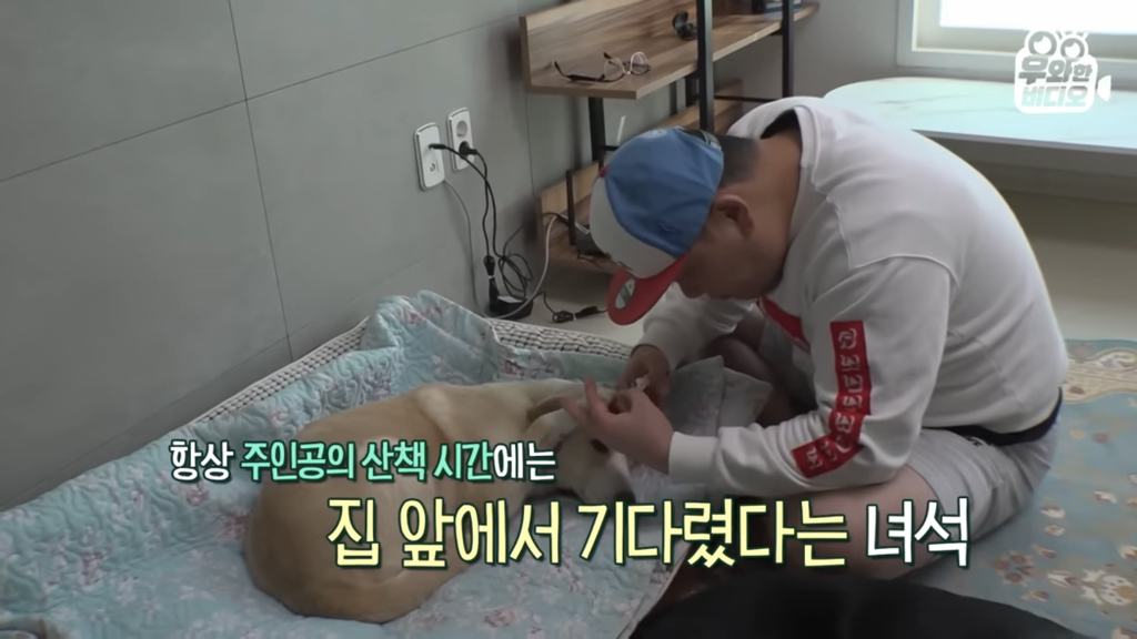 목숨을-걸고-한-달-만에-집으로-돌아온-강아지..jpg-15-이미지