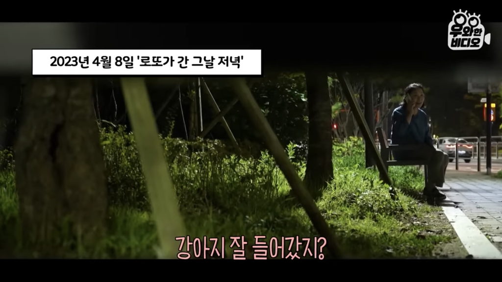 목숨을-걸고-한-달-만에-집으로-돌아온-강아지..jpg-31-이미지
