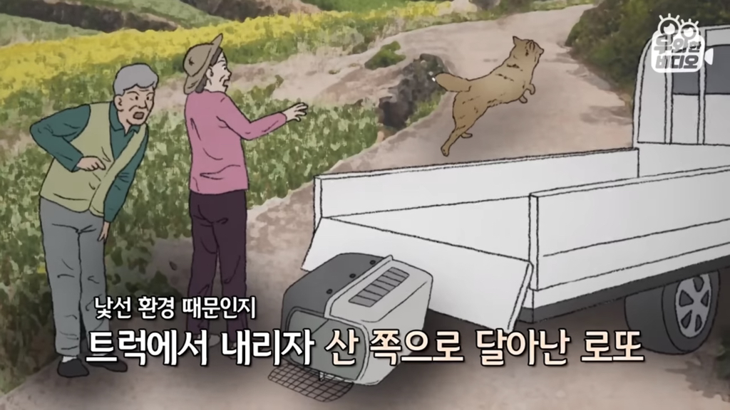 목숨을-걸고-한-달-만에-집으로-돌아온-강아지..jpg-35-이미지