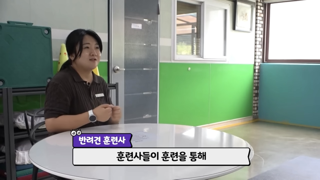 목숨을-걸고-한-달-만에-집으로-돌아온-강아지..jpg-84-이미지