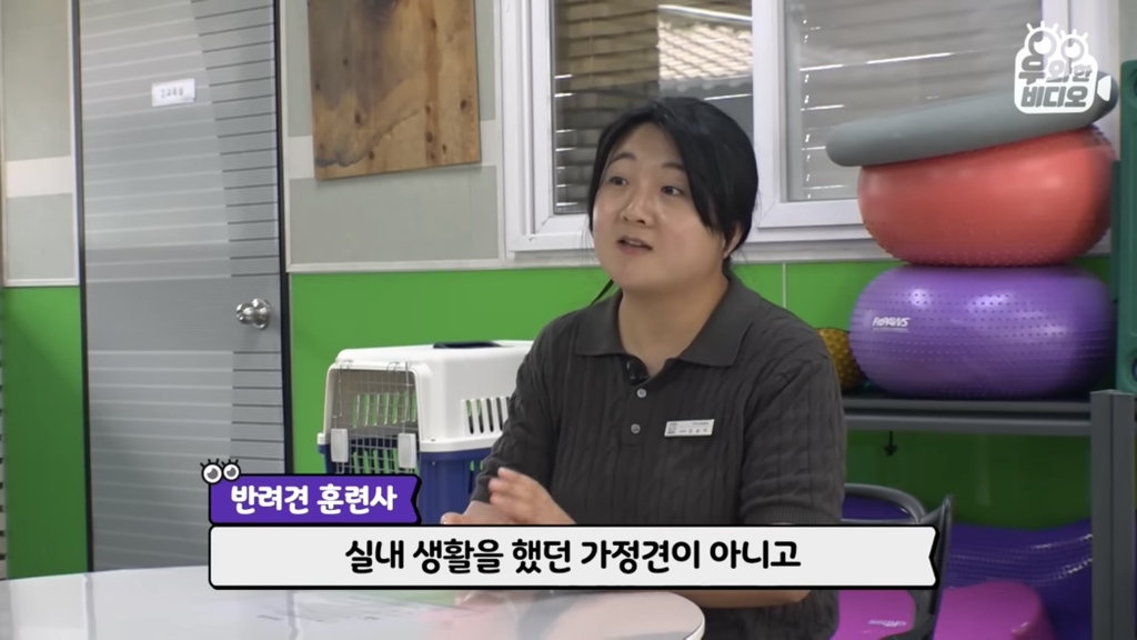 목숨을-걸고-한-달-만에-집으로-돌아온-강아지..jpg-75-이미지