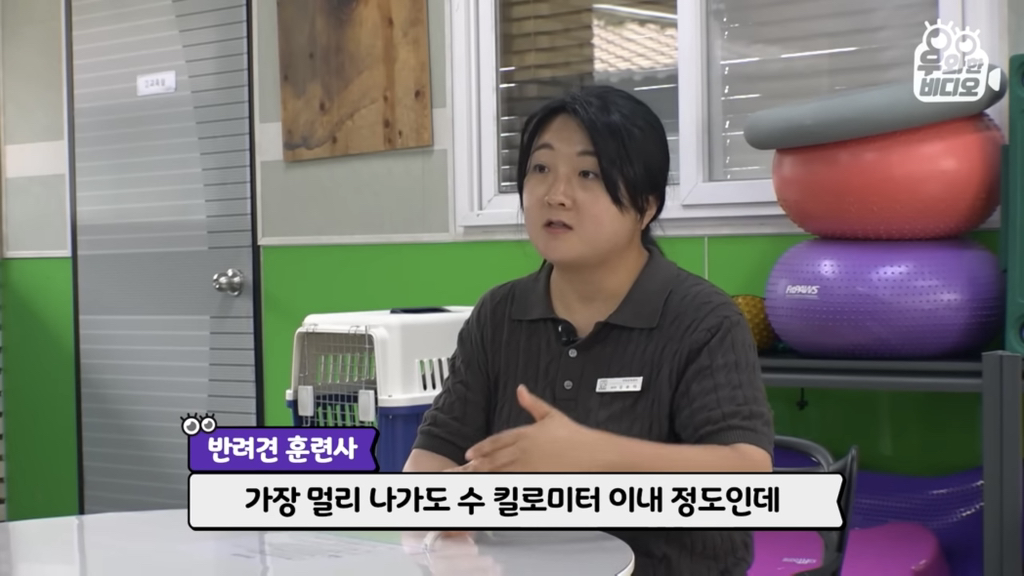 목숨을-걸고-한-달-만에-집으로-돌아온-강아지..jpg-73-이미지