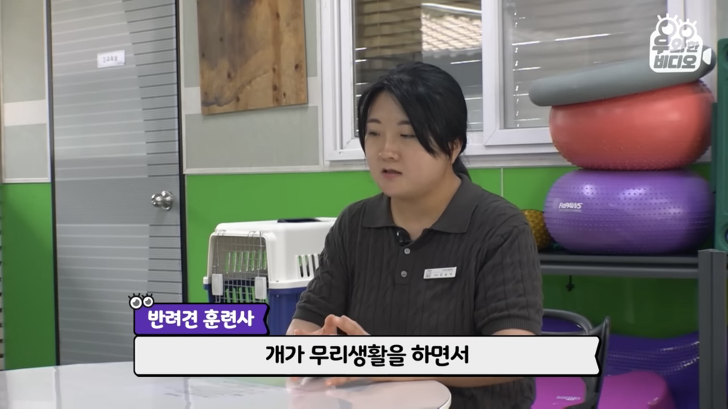 목숨을-걸고-한-달-만에-집으로-돌아온-강아지..jpg-72-이미지
