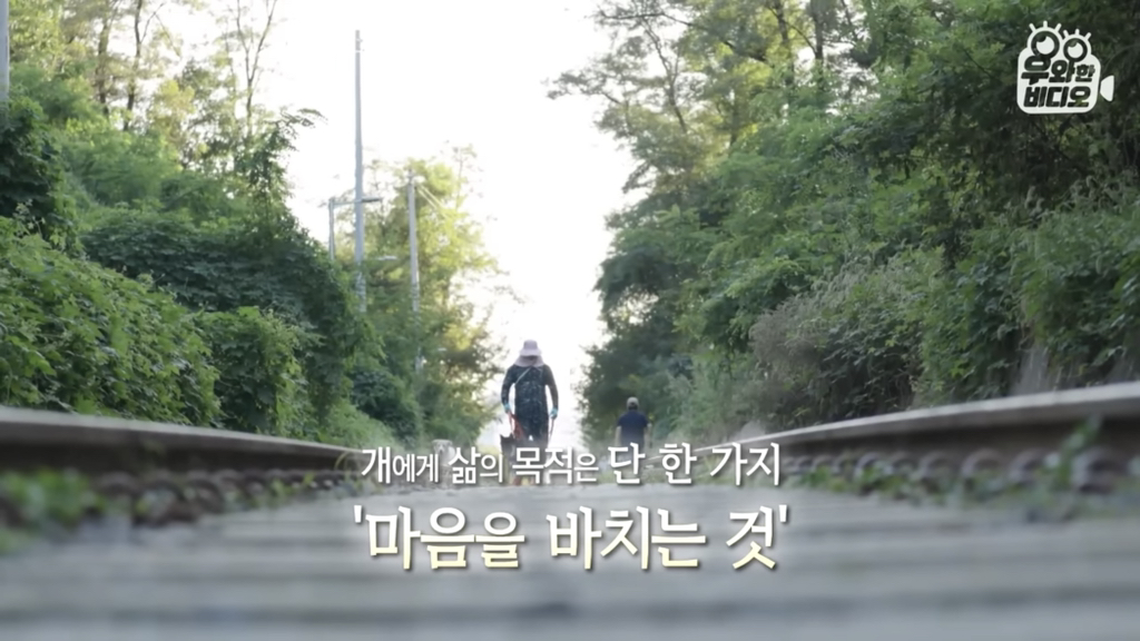 목숨을-걸고-한-달-만에-집으로-돌아온-강아지..jpg-97-이미지